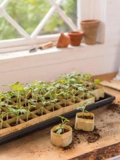 Paper Pots, 50 Cell -Green Haven Shop 8599830 0502 paper pots 50 cell tif