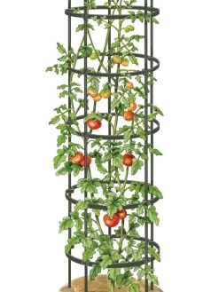 Titan Tall Tomato Cages, Set Of 3 -Green Haven Shop 8599860 0002 art tif