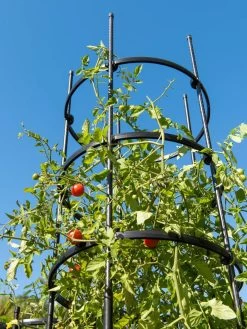 Titan Tall Tomato Cages, Set Of 3 -Green Haven Shop 8599860 0066 tif