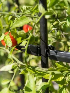 Titan Tomato Cages, Set Of 3 -Green Haven Shop 8599861 0079 tif 1