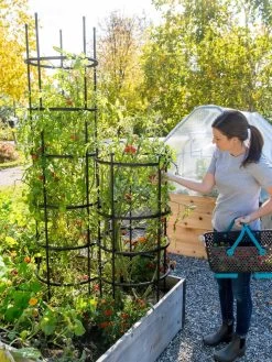 Titan Tomato Cages, Set Of 3 -Green Haven Shop 8599861 0114 tif