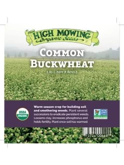 Common Buckwheat Organic Seeds 7 Common Buckwheat Organic Seeds -Green Haven Shop 8599871 04v