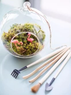 Terrarium Tools, Set Of 4 5 Terrarium Tools, Set Of 4 -Green Haven Shop 8599884 01V tif