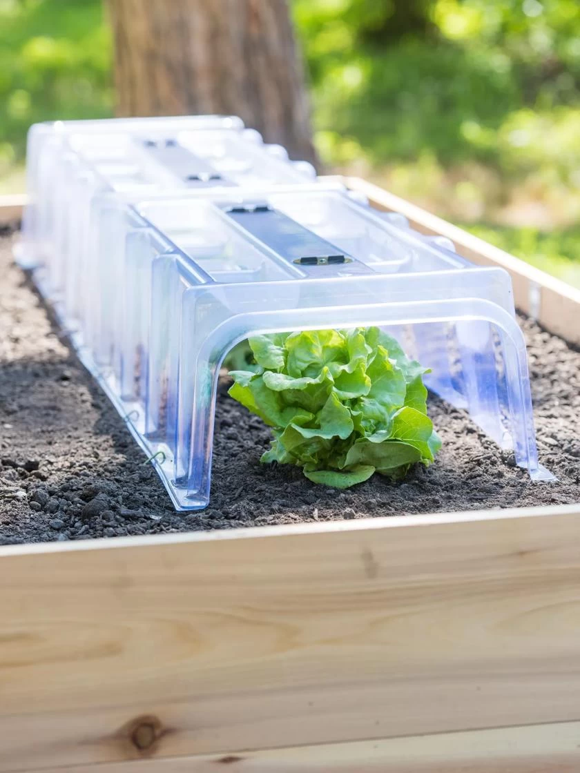 Cool Weather Row Cloche Centers, Set Of 3 2 Cool Weather Row Cloche Centers, Set Of 3 - Image 2