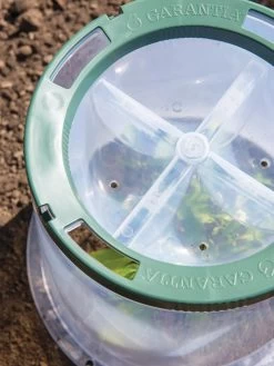 Sunny Forcing Cloches, Set Of 3 -Green Haven Shop 8600075 0742 tif