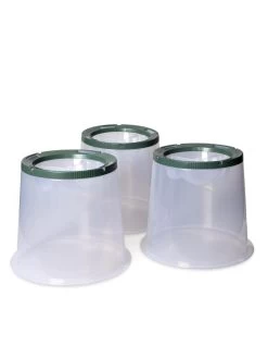 Sunny Forcing Cloches, Set Of 3 -Green Haven Shop 8600075 24 tif