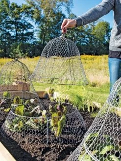 Chicken Wire Cloche With Extension -Green Haven Shop 8600116 0604 3 4
