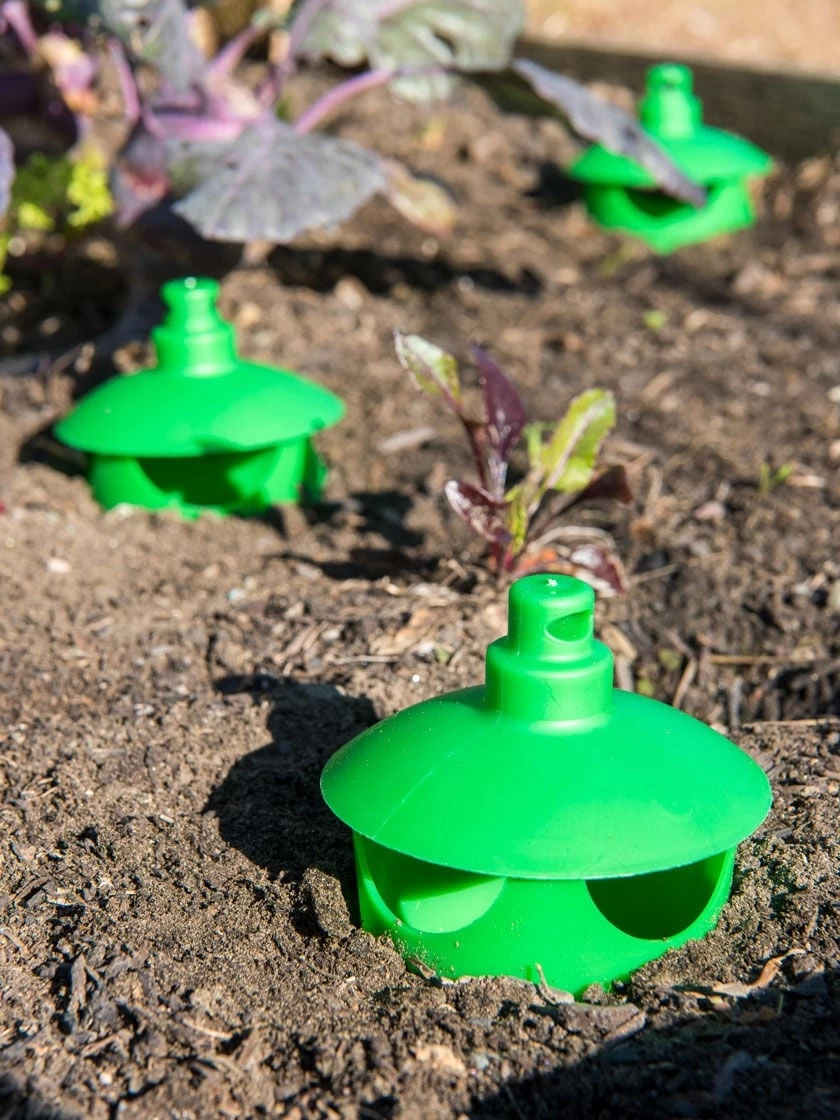 Slug And Snail Traps, Set Of 3 3 Slug And Snail Traps, Set Of 3 - Image 3