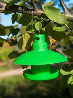 Slug And Snail Traps, Set Of 3 15 Slug And Snail Traps, Set Of 3 -Green Haven Shop 8600120 1792