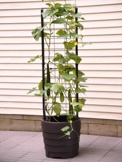Gardener’s Victory Self-Watering Planter Garden With Vine Trellis 9 Gardener’s Victory Self-Watering Planter Garden With Vine Trellis -Green Haven Shop 8600177 9876 tif