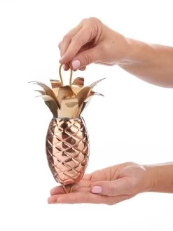 Pineapple Pure Copper Rain Chain, 8.5' -Green Haven Shop 8600210 03v