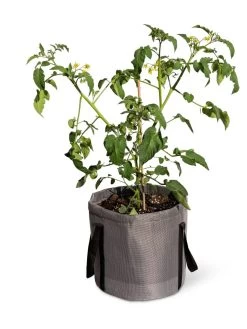 Reinforced Colorful Grow Bags -Green Haven Shop 8600229 0944 tif