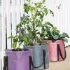 Reinforced Colorful Grow Bags