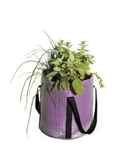 Reinforced Colorful Grow Bags -Green Haven Shop 8600230 0948 tif