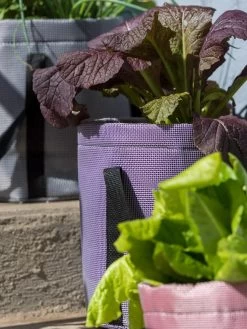 Reinforced Colorful Grow Bags -Green Haven Shop 8600230 20013 tif