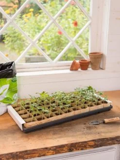 Paper Pots Starter Set