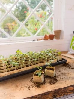 Paper Pots Starter Set -Green Haven Shop 8600273 0307 tif