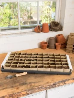 Paper Pots Starter Set -Green Haven Shop 8600273 18521 tif