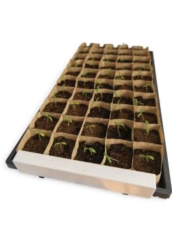 Paper Pots Starter Set -Green Haven Shop 8600273 18527 tif