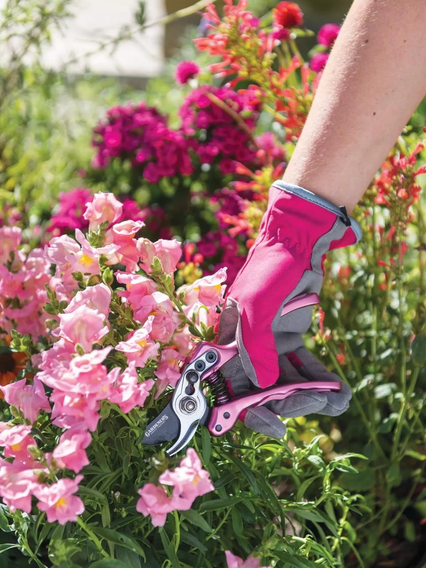 Gardener's Floral Pruning Bypass Shears 3 Gardener's Floral Pruning Bypass Shears - Image 3