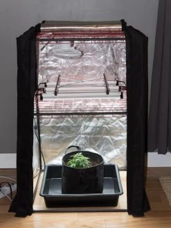 Hemp Grow Kit -Green Haven Shop 8600301 0590 tif