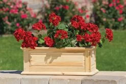 Savannah Window Boxes -Green Haven Shop 8600461 04V tif