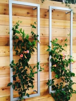 Ina Modern Wall Trellis Sr. -Green Haven Shop 8600510 06V tif