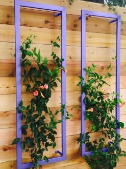 Ina Modern Wall Trellis Sr. -Green Haven Shop 8600510 07V tif