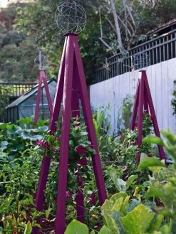 Akoris Garden Tuteur Jr. -Green Haven Shop 8600517 01V akoris garden tuteur tif