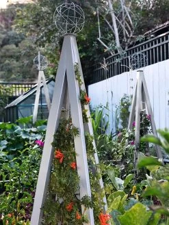 Akoris Garden Tuteur Jr. -Green Haven Shop 8600517 07V tif