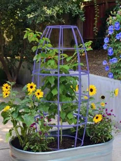 Toki Bubble Trellis -Green Haven Shop 8600520 02V tif