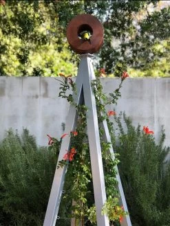 Bird Cafe + Akoris Garden Tuteur Jr. -Green Haven Shop 8600525 07v