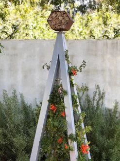 Bee Bungalow + Akoris Garden Tuteur Jr. 14 Bee Bungalow + Akoris Garden Tuteur Jr. -Green Haven Shop 8600532 07v