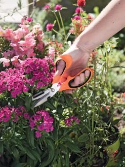 Gardener's Multi Purpose Scissors -Green Haven Shop 8608655 19551 tif