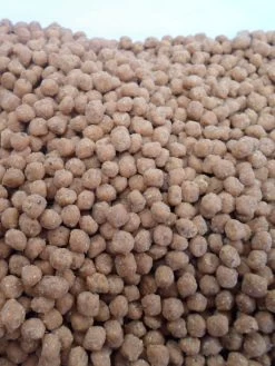 Birds Choice Hot Pepper Suet Nuggets, 5 Lbs.