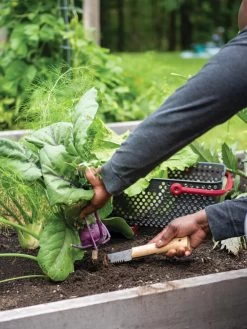 Gardener's Lifetime Hori Hori Knife -Green Haven Shop 8608888 0422 tif