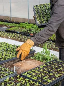 The Vermonter By Vermont Glove 8 The Vermonter By Vermont Glove -Green Haven Shop 8608918 08v