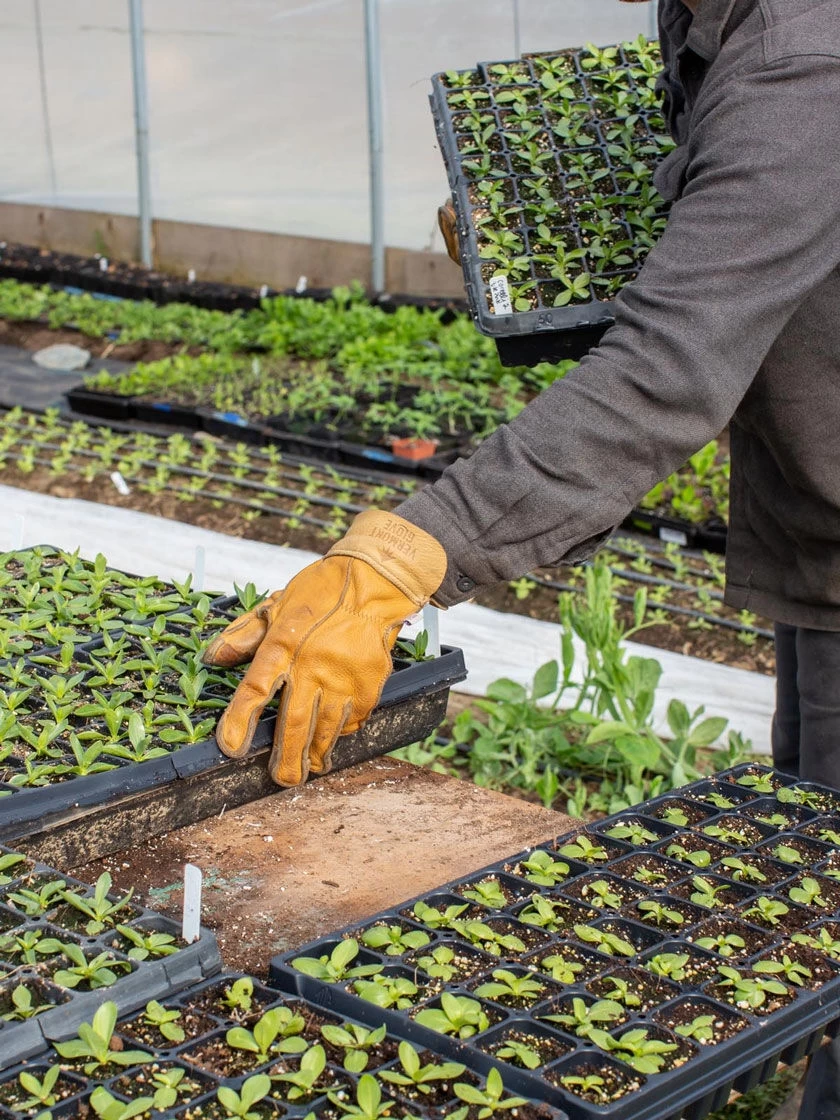 The Vermonter By Vermont Glove 3 The Vermonter By Vermont Glove - Image 3