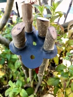 Garden Cane Connects, Set Of 6 -Green Haven Shop 8609019 01V tif