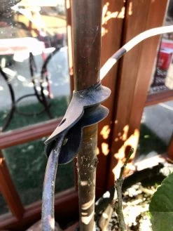 Garden Cane Connects, Set Of 6 -Green Haven Shop 8609019 03V tif