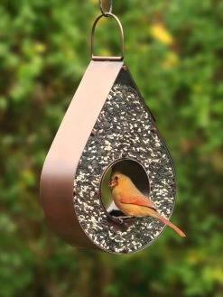 Teardrop Fly-Thru™ Bird Feeder -Green Haven Shop 8609054 02v