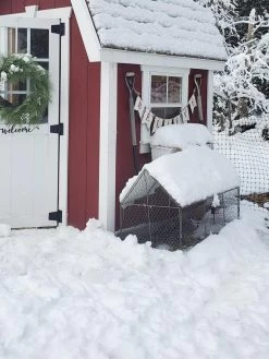 Chicken Wire Crop Coop -Green Haven Shop 8609080 03IN tif