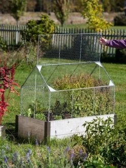 Chicken Wire Crop Coop -Green Haven Shop 8609080 4024