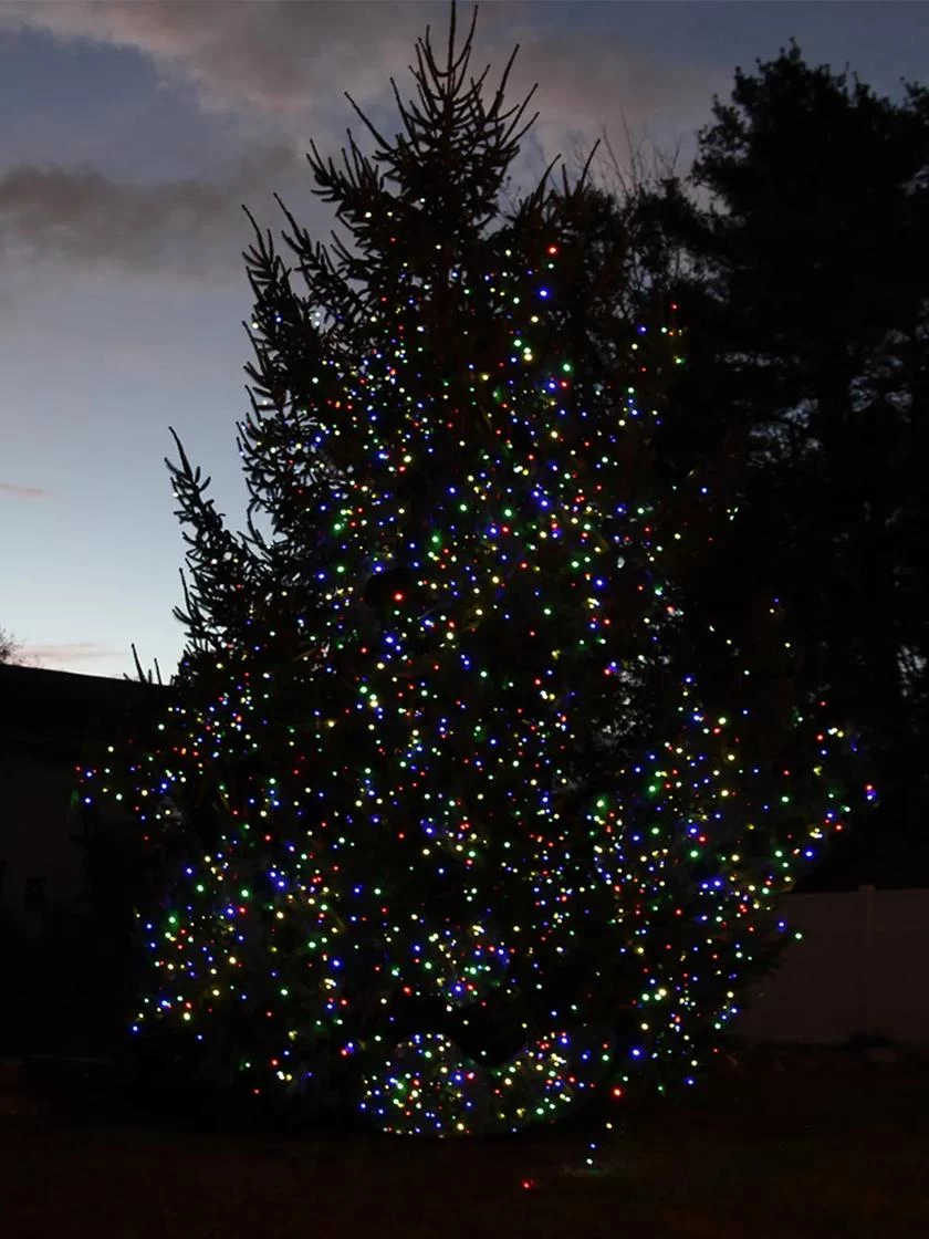 Solar LED String Lights, Lightup225™ 2 Solar LED String Lights, Lightup225™ - Image 2