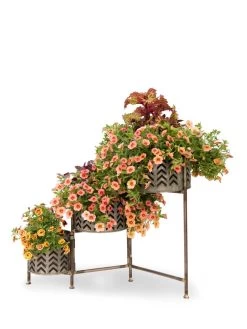 Galvanized Grow Bag Triple Planters With Stand -Green Haven Shop 8609180 0364 tif