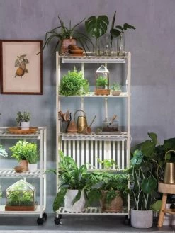 Oslo 4-Tier LED Grow Light Garden 17 Oslo 4-Tier LED Grow Light Garden -Green Haven Shop 8609188 4118 tif