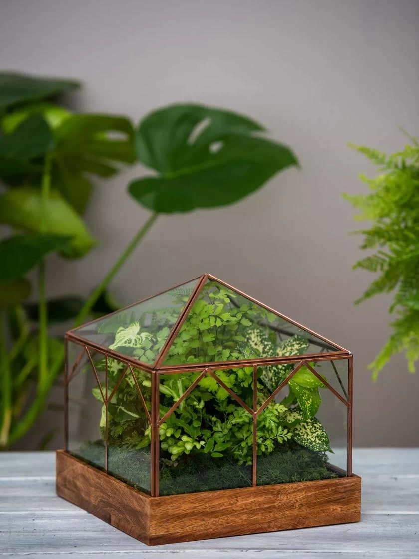 Art Decco Copper And Glass Terrariums 1 Art Decco Copper And Glass Terrariums