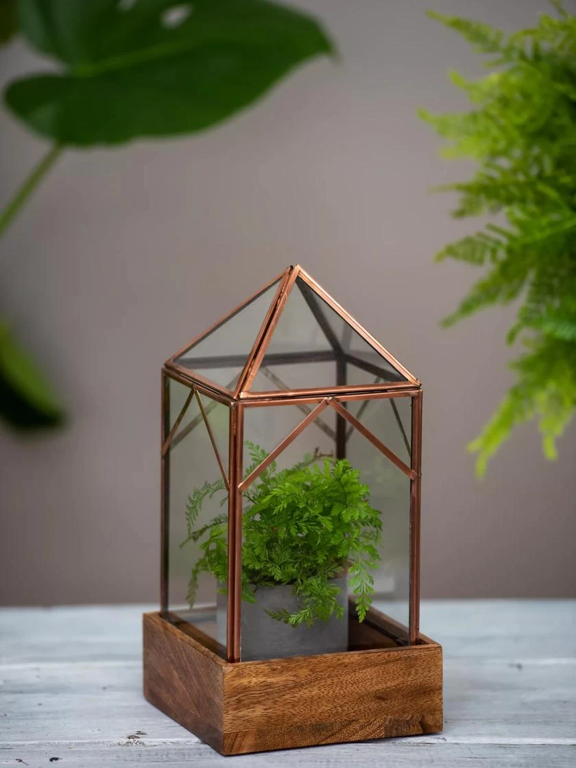 Art Decco Copper And Glass Terrariums 2 Art Decco Copper And Glass Terrariums - Image 2