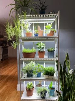 Oslo 4-Tier LED Grow Light Garden 21 Oslo 4-Tier LED Grow Light Garden -Green Haven Shop 8609220 03IN tif