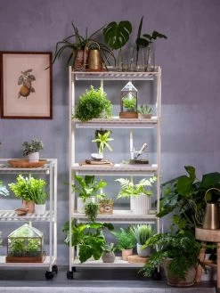 Oslo 4-Tier LED Grow Light Garden 19 Oslo 4-Tier LED Grow Light Garden -Green Haven Shop 8609220 4116 tif